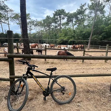 La Sabloniere - 6 Personnes A 600 M De La - Animaux Admis * Notre-Dame-de-Monts
