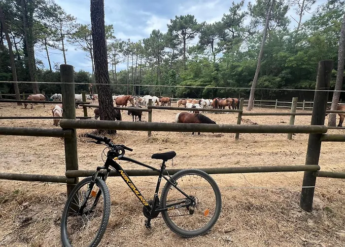 La Sablonière - à 600 M De La - Wifi, Animaux Admis * Notre-Dame-de-Monts