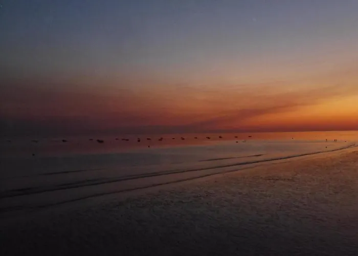 Appartement La Sablonière - à 600 M De La - Wifi, Animaux Admis